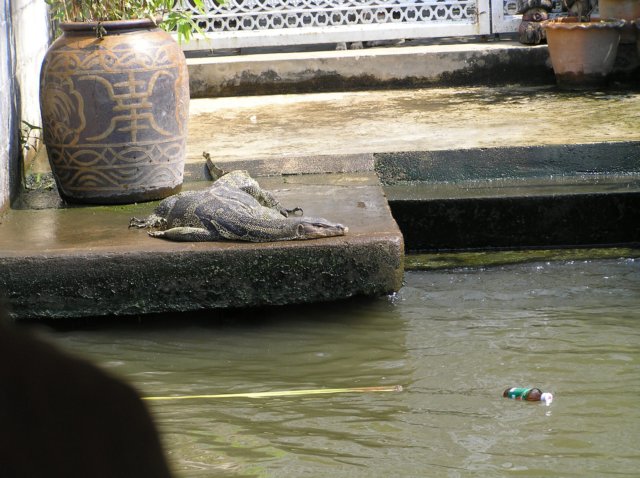 photo22.jpg