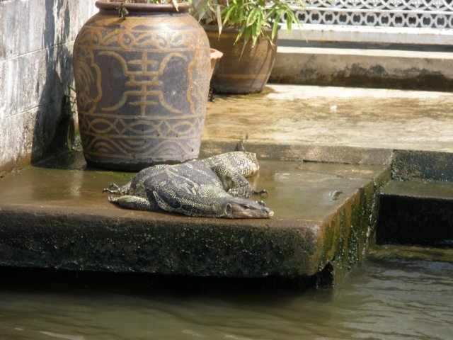 photo25.jpg
