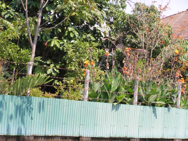 photo28.jpg