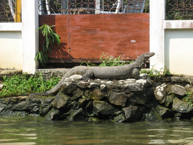 photo32.jpg