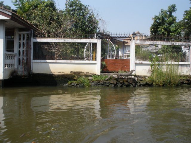 photo37.jpg