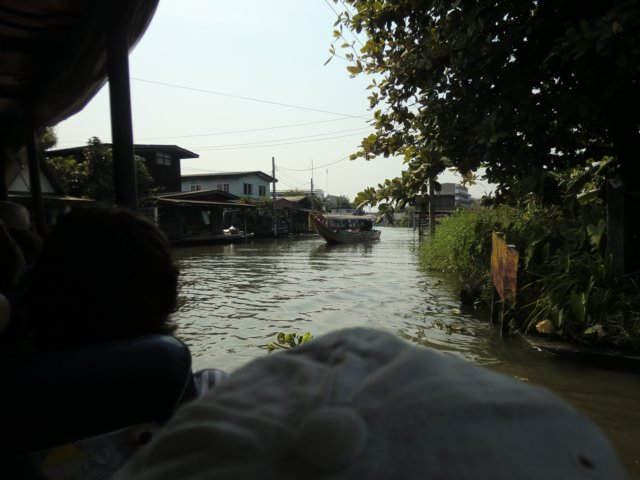 photo43.jpg