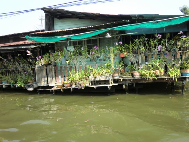 photo51.jpg