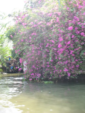 photo53.jpg