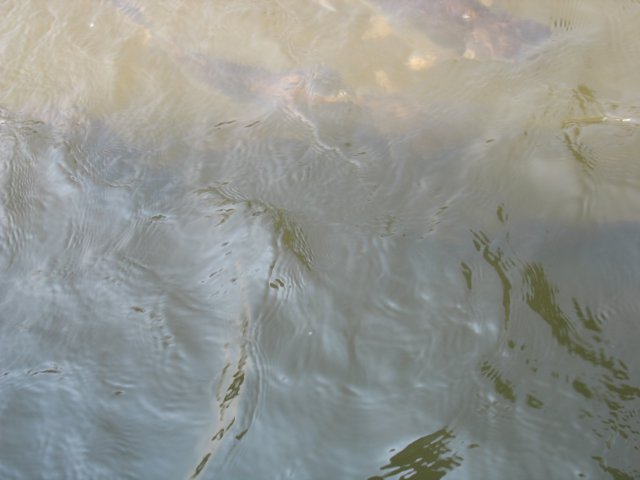 photo74.jpg
