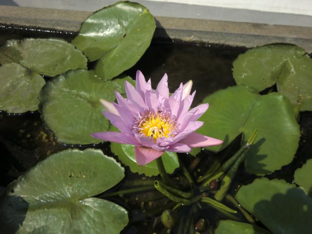 photo31.jpg