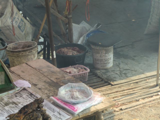 photo22.jpg