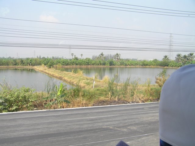 photo29.jpg