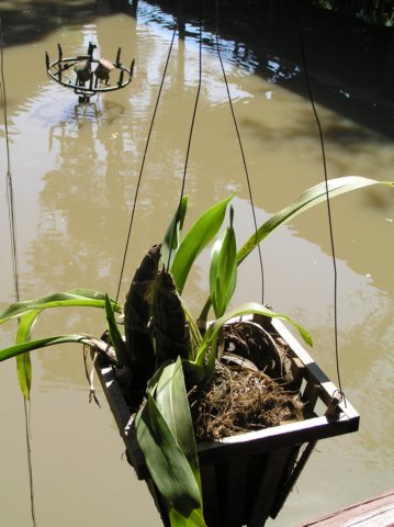 photo34.jpg