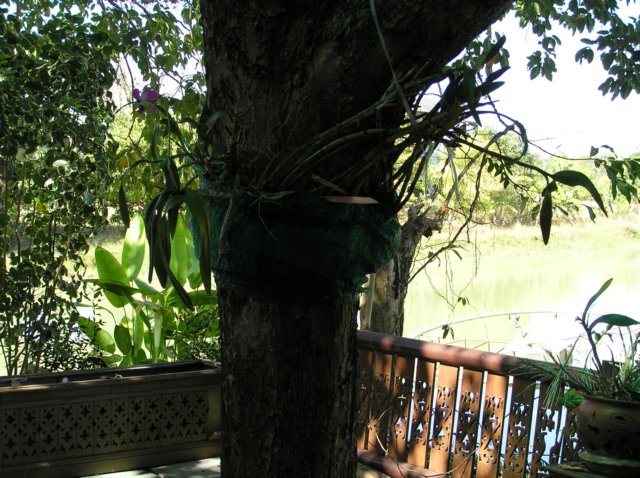 photo44.jpg