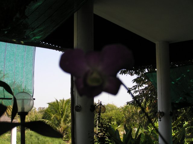 photo46.jpg