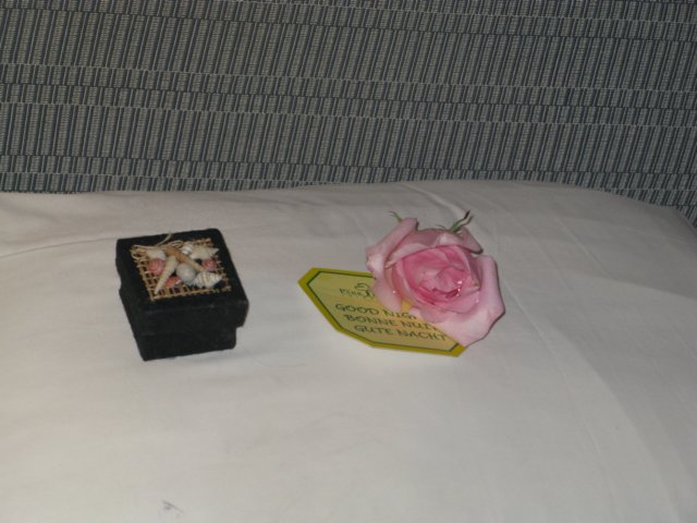 photo81.jpg