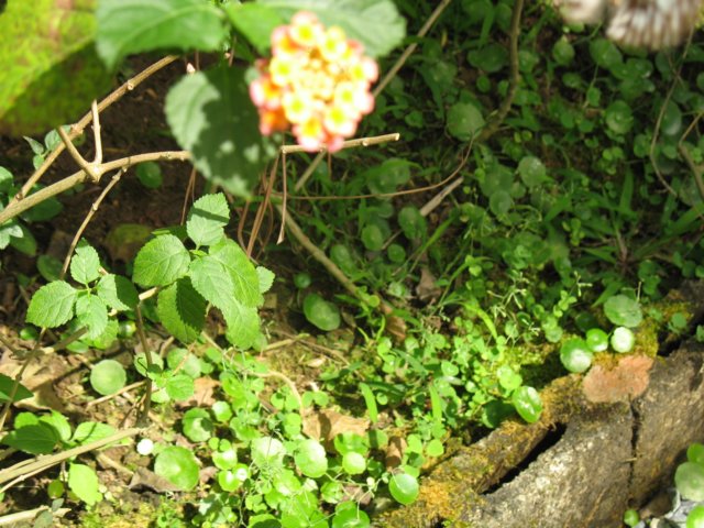photo110.jpg