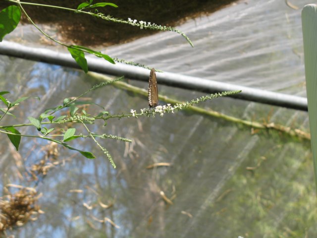 photo113.jpg