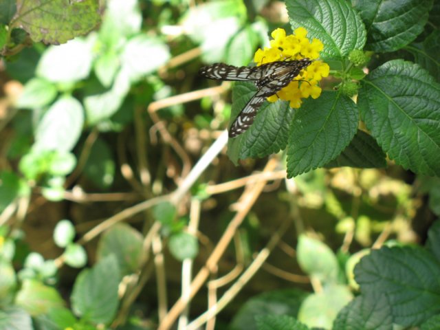 photo140.jpg