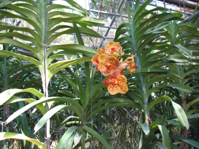 photo66.jpg