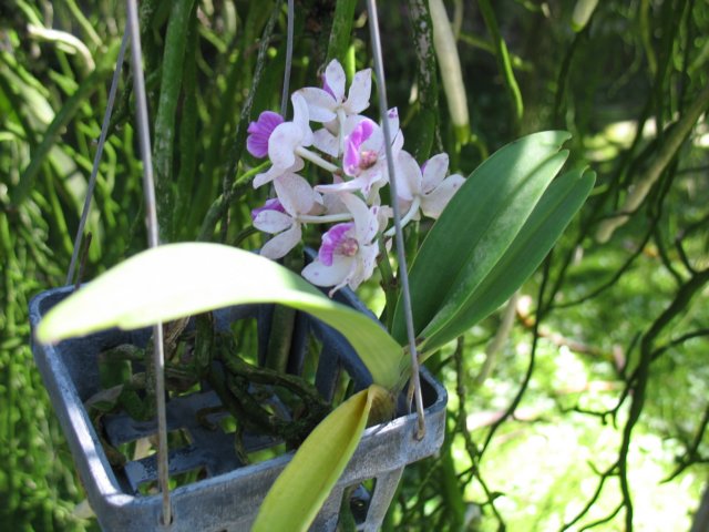 photo69.jpg
