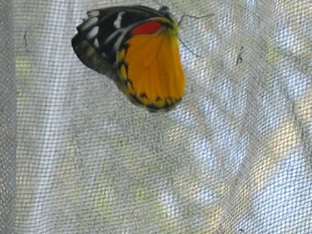 photo94.jpg