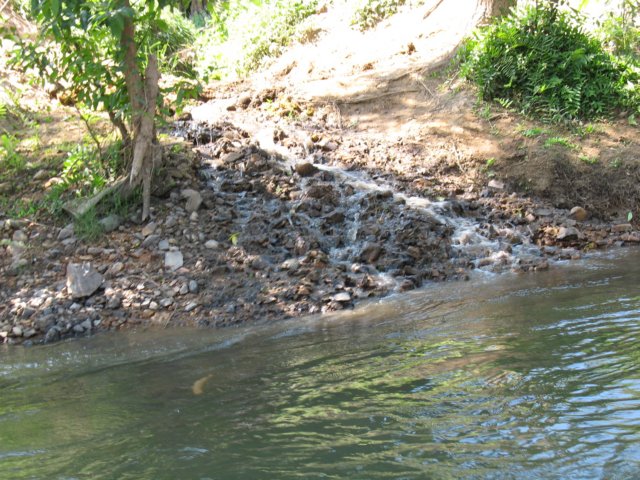photo104.jpg