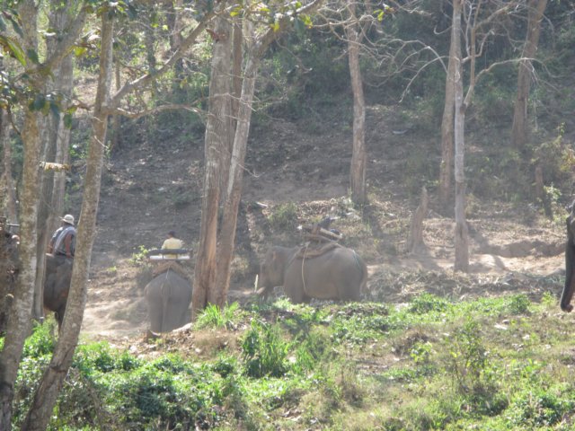 photo25.jpg