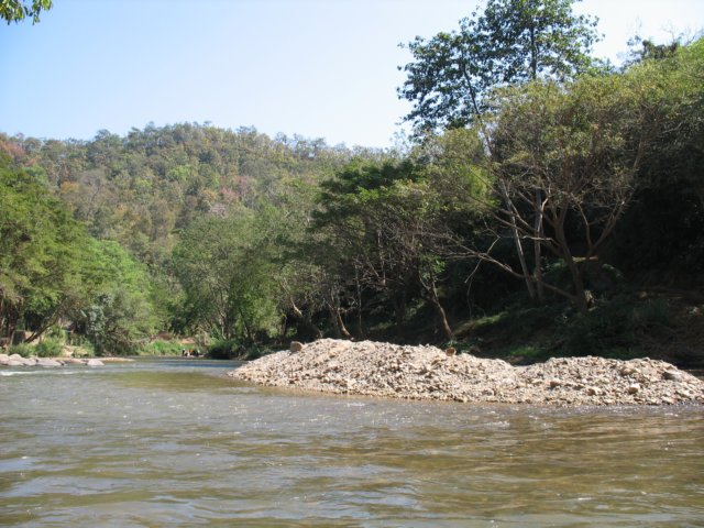photo50.jpg