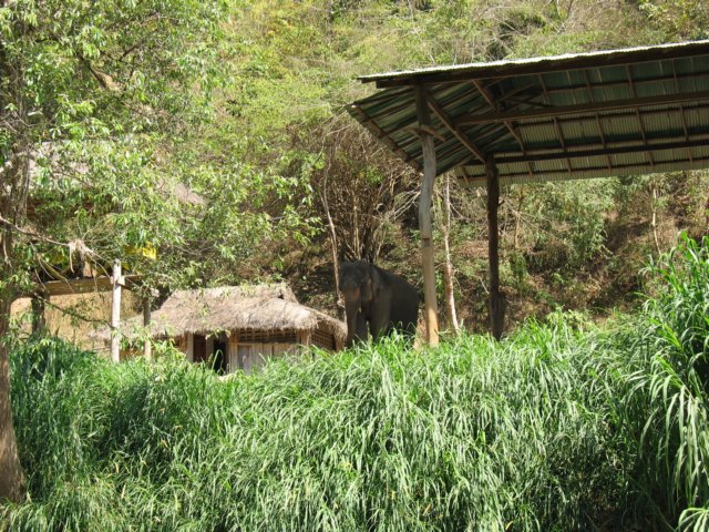 photo86.jpg