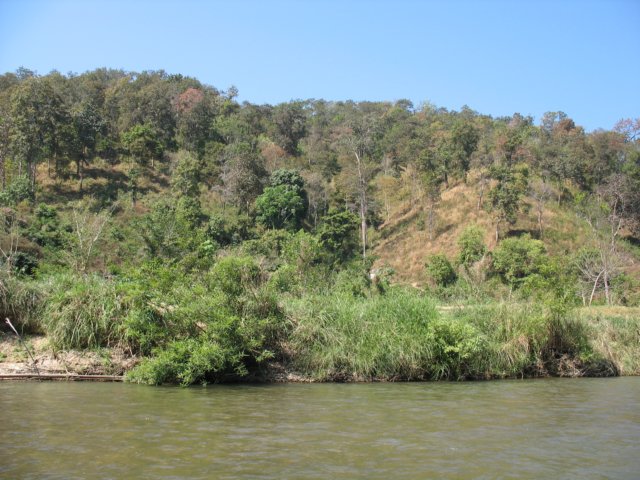 photo97.jpg
