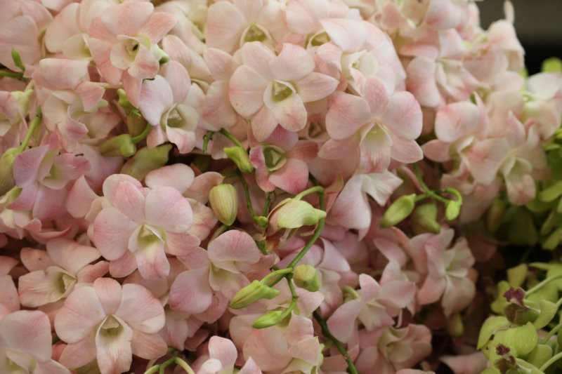 photo49.jpg