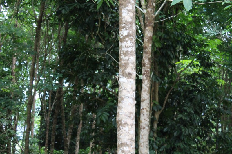 photo22.jpg