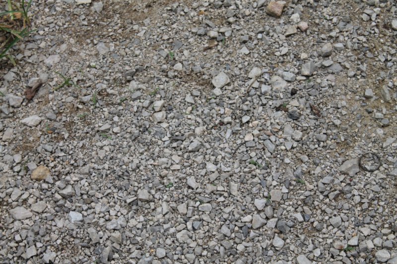 photo25.jpg