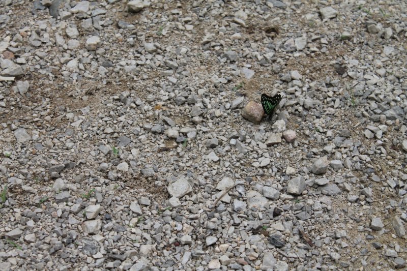 photo28.jpg