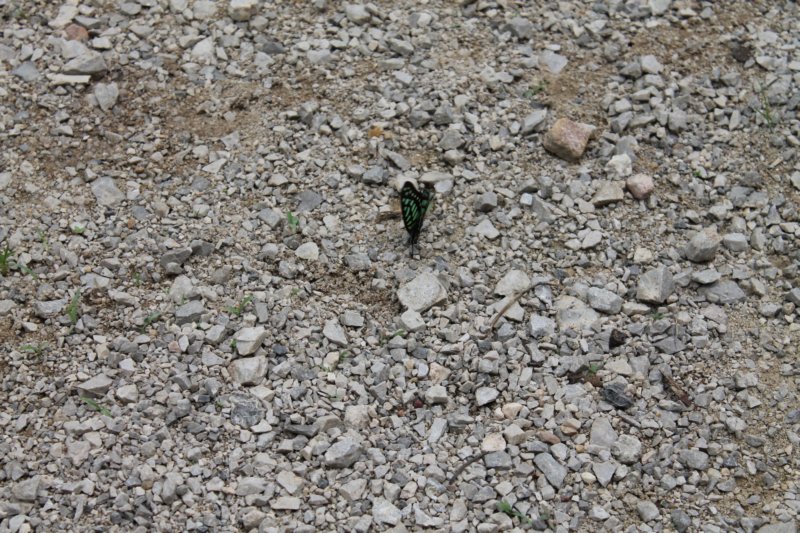 photo31.jpg