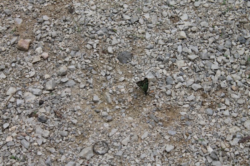 photo32.jpg