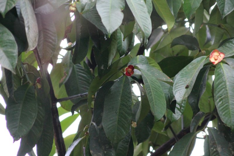photo45.jpg