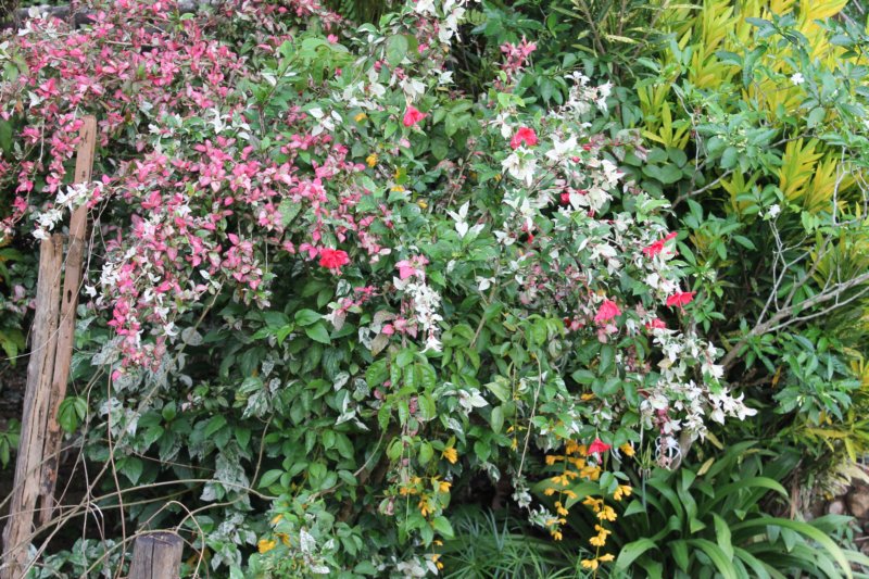 photo63.jpg