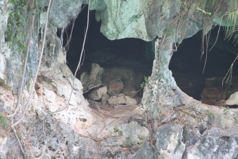 photo43.jpg