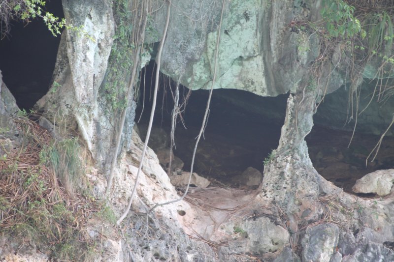photo44.jpg