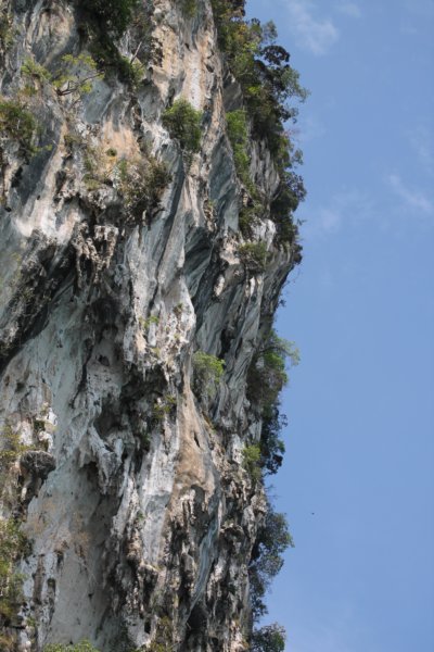 photo66.jpg