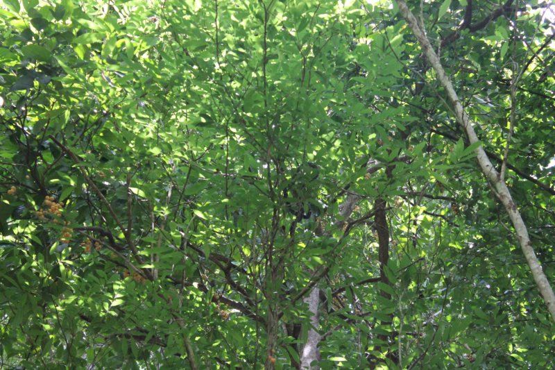 photo135.jpg