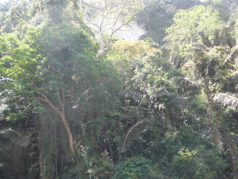 photo200.jpg