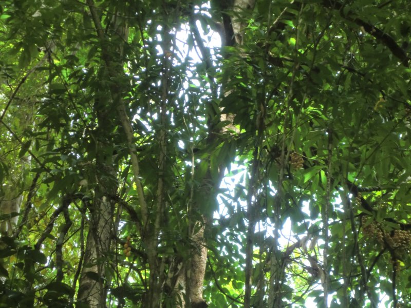photo22.jpg