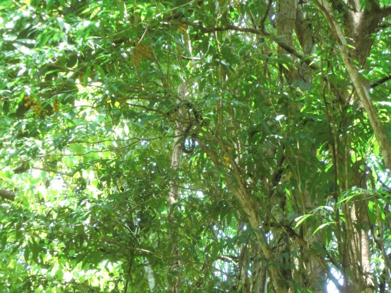 photo28.jpg