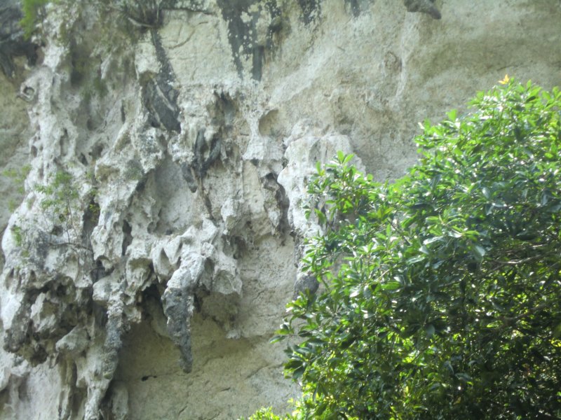 photo32.jpg