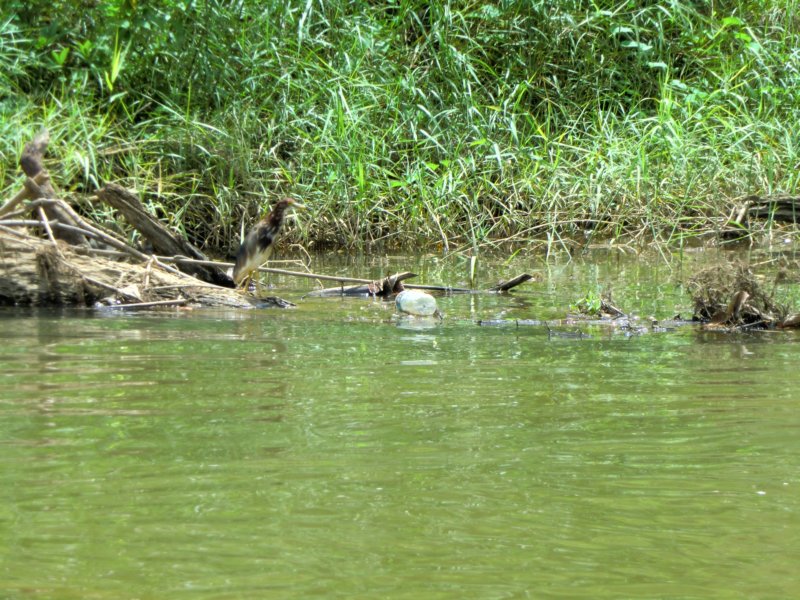 photo34.jpg