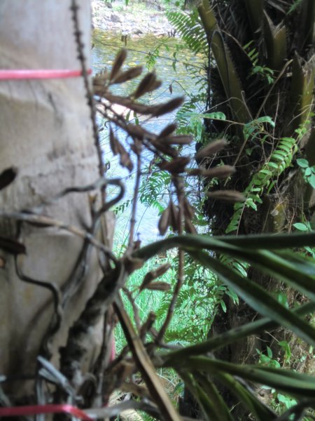photo42.jpg