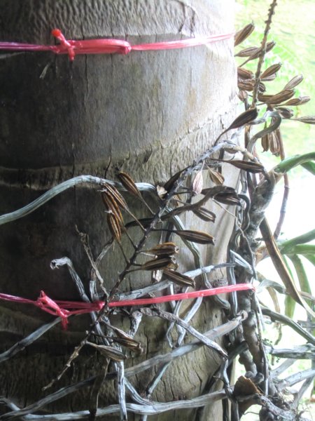 photo43.jpg