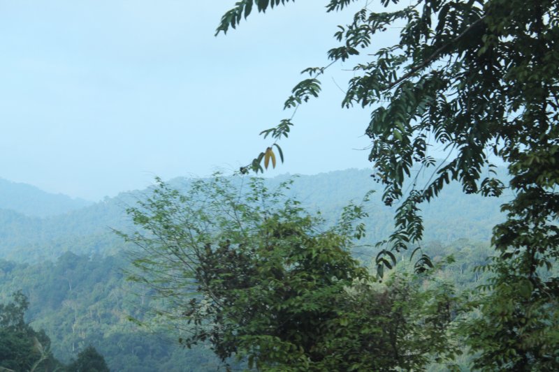 photo44.jpg