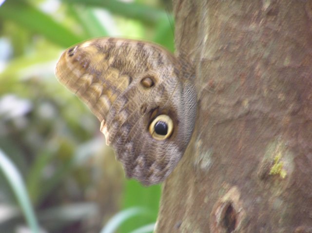 photo17.jpg