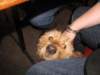 photo14_small.jpg