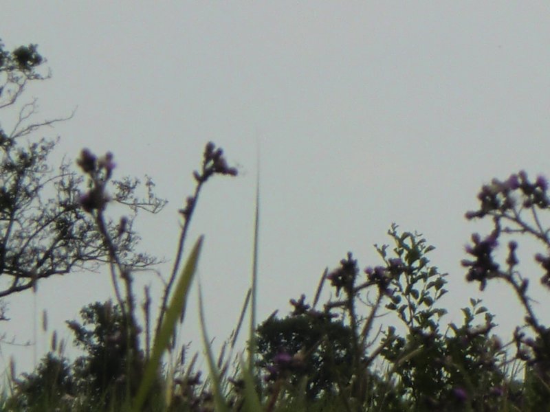 photo1.jpg